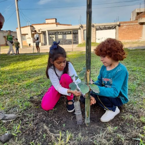 plantacion